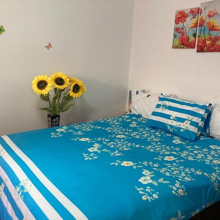 Cosy Hideaway Lejlighed Braşov Eksteriør billede